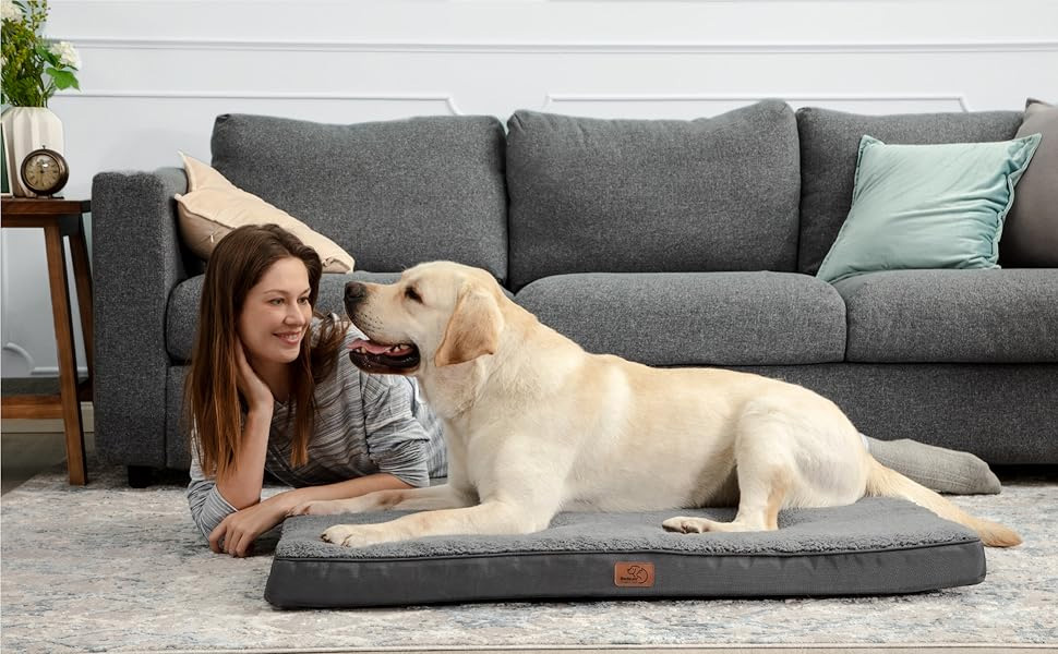 Huisdierbenodigdheden Verkoop -Huisdierbenodigdheden Verkoop 4