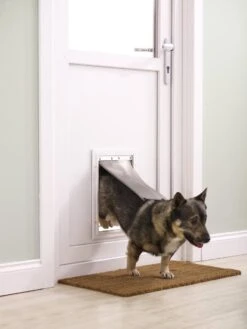 Petsafe 660 Hondenluik - Tot 100 Kg - Aluminium -Huisdierbenodigdheden Verkoop 900x1200 3